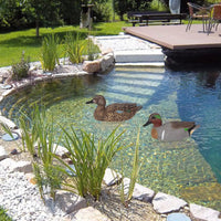 Floating Decoy Duck Lifelike Simulation Duck Garden Pool Yard Lake Decoration Hunting Decoy Plastic Duck Ornament
