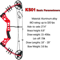 Youth Compound Bow Set 15-45 Lbs for Teens and Beginner Package with Archery Hunting Equipment Max Speed 260fps Adjustable Righ